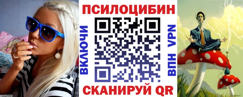 сколько стоит KRAKEN ONION Галлюциногенные грибы Psilocybe Магас
